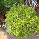 옥희농장 이미지