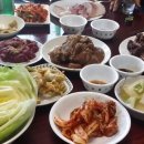 다원농장 Daum카페
