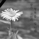 대원펜션 이미지