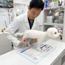 부산 부산진구 예방접종 전문 병원 후기 좋은곳 추천 6곳
