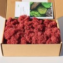 플라워사랑 이미지