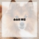 (가족) 건강하고 맛있는 요리 이미지