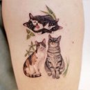PET LOVE 이미지