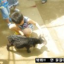 성준농장 이미지