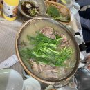 정백숙