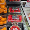 지에스더프레시 진주신안점 | 2.10