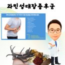 경희장 이미지