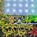 유경2호 이미지