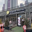플러피디저트(fluffy dessert)