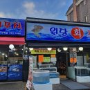 회초밥참치포차