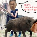 김봉현 라임사태 추가 폭로 이미지