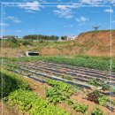 태안키즈풀빌라아이랜드 이미지