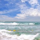 동호해변 이미지