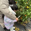 두실농장 이미지