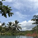 김근희의 행복요가교실 | [발리]파드마 리조트 우붓 2탄(아침 요가, 조식, 수영, 애니멀가든)