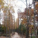 옹기골근린공원 이미지