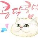 갯마을칼국수보쌈 이미지