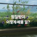 아쿠아스타 | 🌿 아이랑 하남 스타필드 아쿠아필드 찜질방 후기