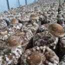 주식회사 이글 이미지