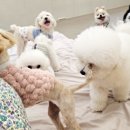 스토리 멍 이미지