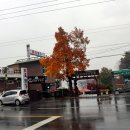 예당관광지 관리사무실 앞 이미지