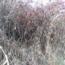 사목1리 이미지