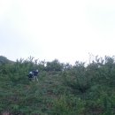 부운농장 이미지