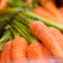 의료법인전일의료재단한가족요양병원 이미지