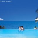 씨썬쌘드 이미지