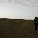 올레목장 이미지