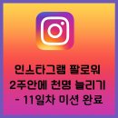 #인스타그램 #팔로워 2주안에 천명 늘리기 - 11일차 미션완료