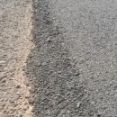 정직한신경외과의원 이미지