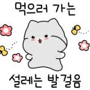 아띠사회적협동조합 이미지