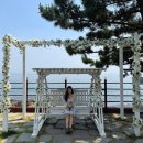 경상북도 영덕 강구항 애견동반카페 동해바다 오션뷰가 예쁜 &#39;카페제이(Cafe J)&#39;