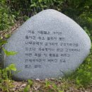 들에메밀꽃 이미지