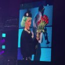 송이캣 | 킨텍스 콘서트 도자캣 내한 공연 보러 간 좌석 후기&amp;시야&amp;분실물