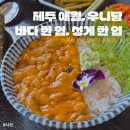 우니담 | [제주/애월] 바다 한 입, 성게알 한 입! 뷰까지 맛도리였던 '우니담' 솔직 후기