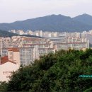 고고리 티스토리