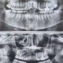 연세그린치과의원 이미지