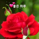 서*기 - 안양시 동안구 관악대로287번길 | 서*기