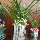 법원로 15 이미지