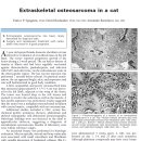 도곡 치유 동물병원 이미지