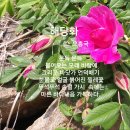 경남기독문인회 청지기, 신광열목사 이미지