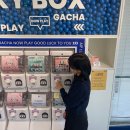 카페봄봄부천점 | 부천이색카페ㅣ 에이프 카페에서 식물 구경, 캠핑 카페