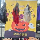 로하스캠핑 | 가을 단풍 캠핑 아이랑 할로윈 캠핑 키즈 프렌들리 캠핑장 연천 로하스 캠핑