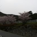 오션가요주점 - 영광군 신남로 203 | 오션가요주점