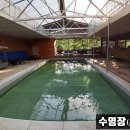 그리운 언덕 | 강원도 홍천군 그리운언덕, 연락처, 가격, 후기