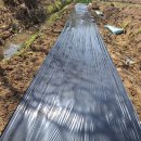 0점 농부가 100점 농부들께 여쭙니다. 이미지