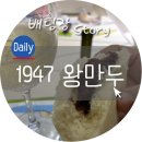 그옛날1947왕만두 이미지