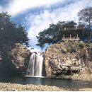 화북곡1 Daum카페